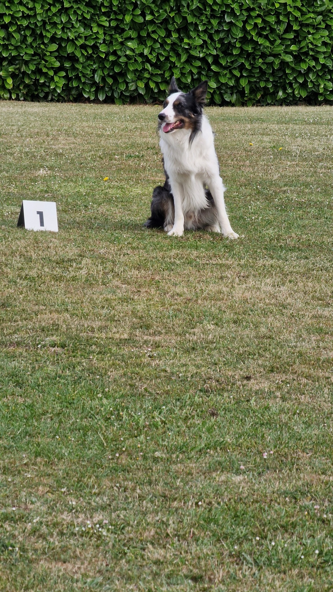 504908659_701483869511332_7216595735930179360_n