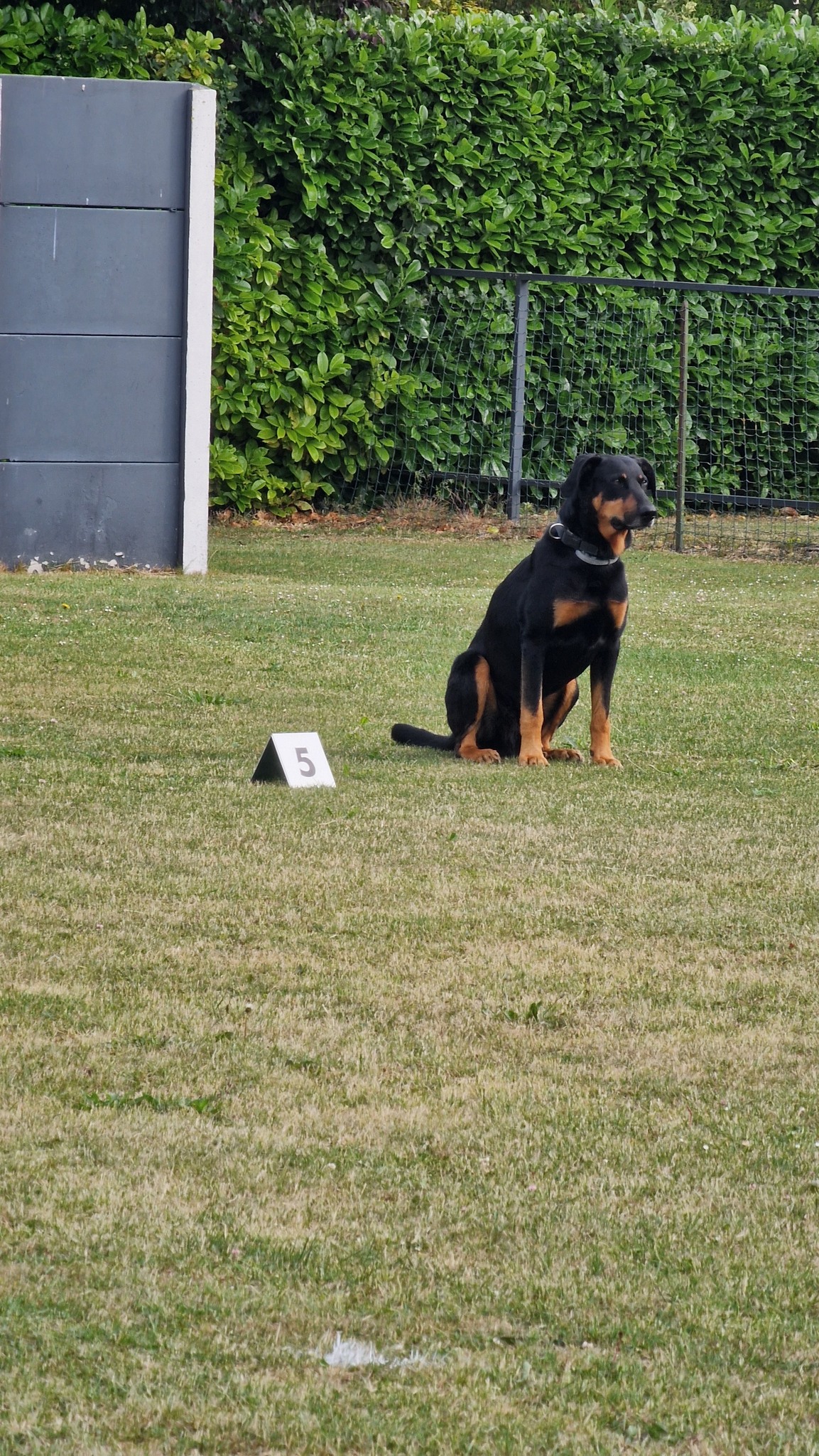 504917444_701484059511313_3247681134766877348_n