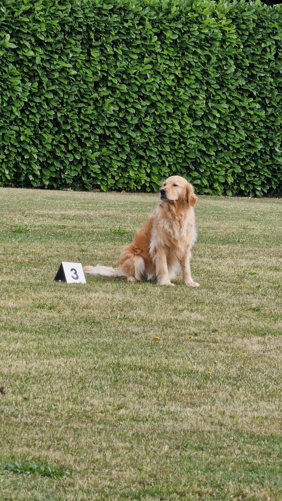 505190750_701484026177983_3830386099743738278_n