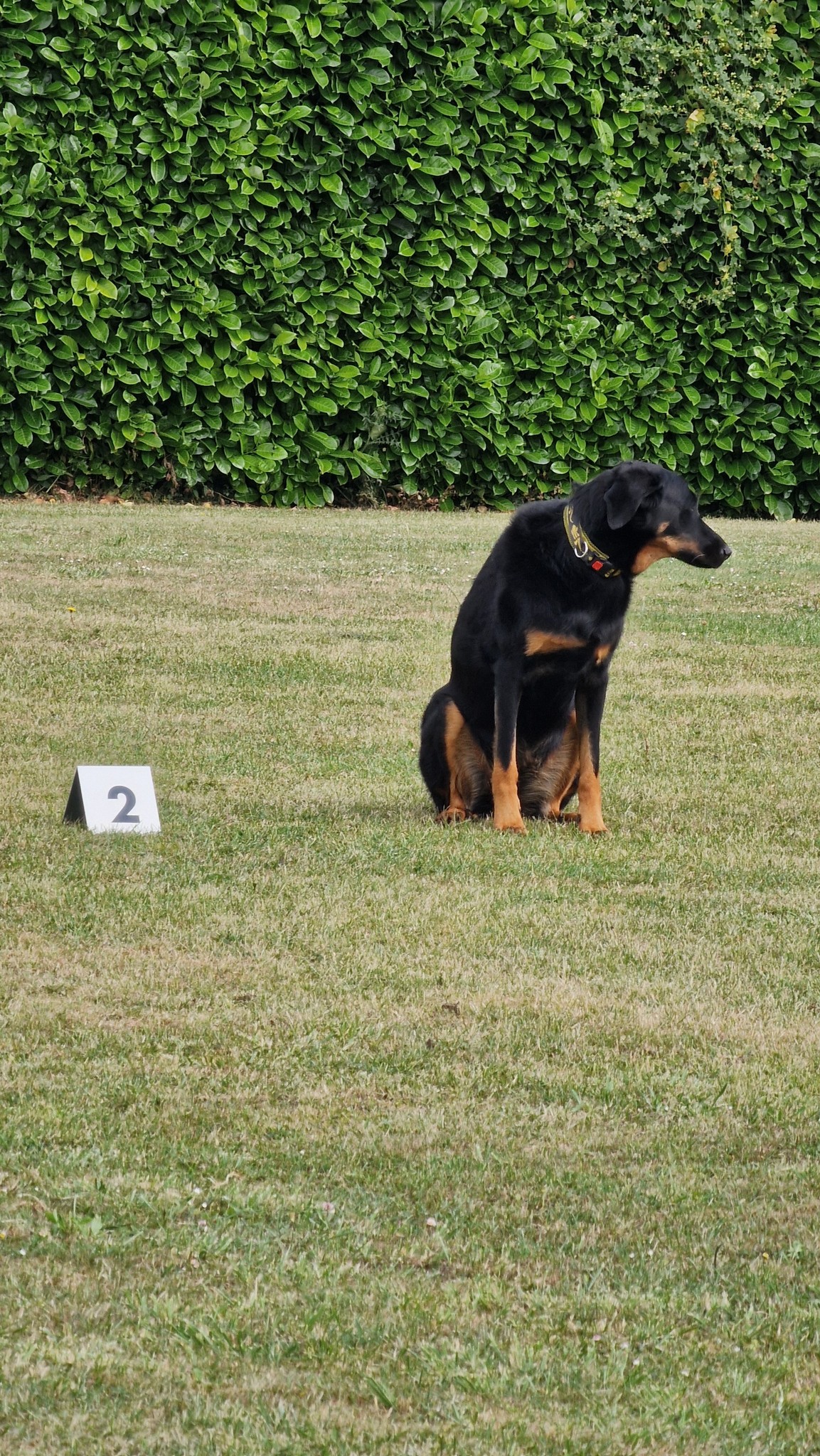 505300820_701483936177992_8075128137724824070_n