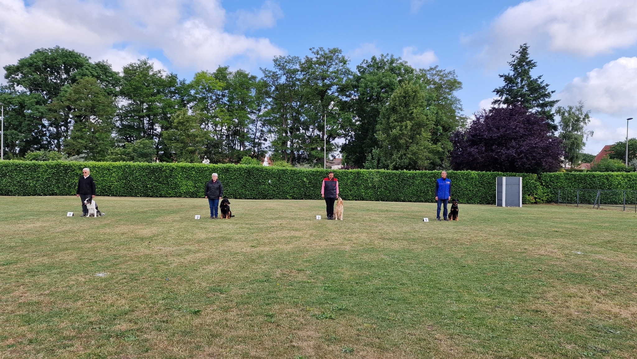 505329859_701483752844677_1695636799910091503_n