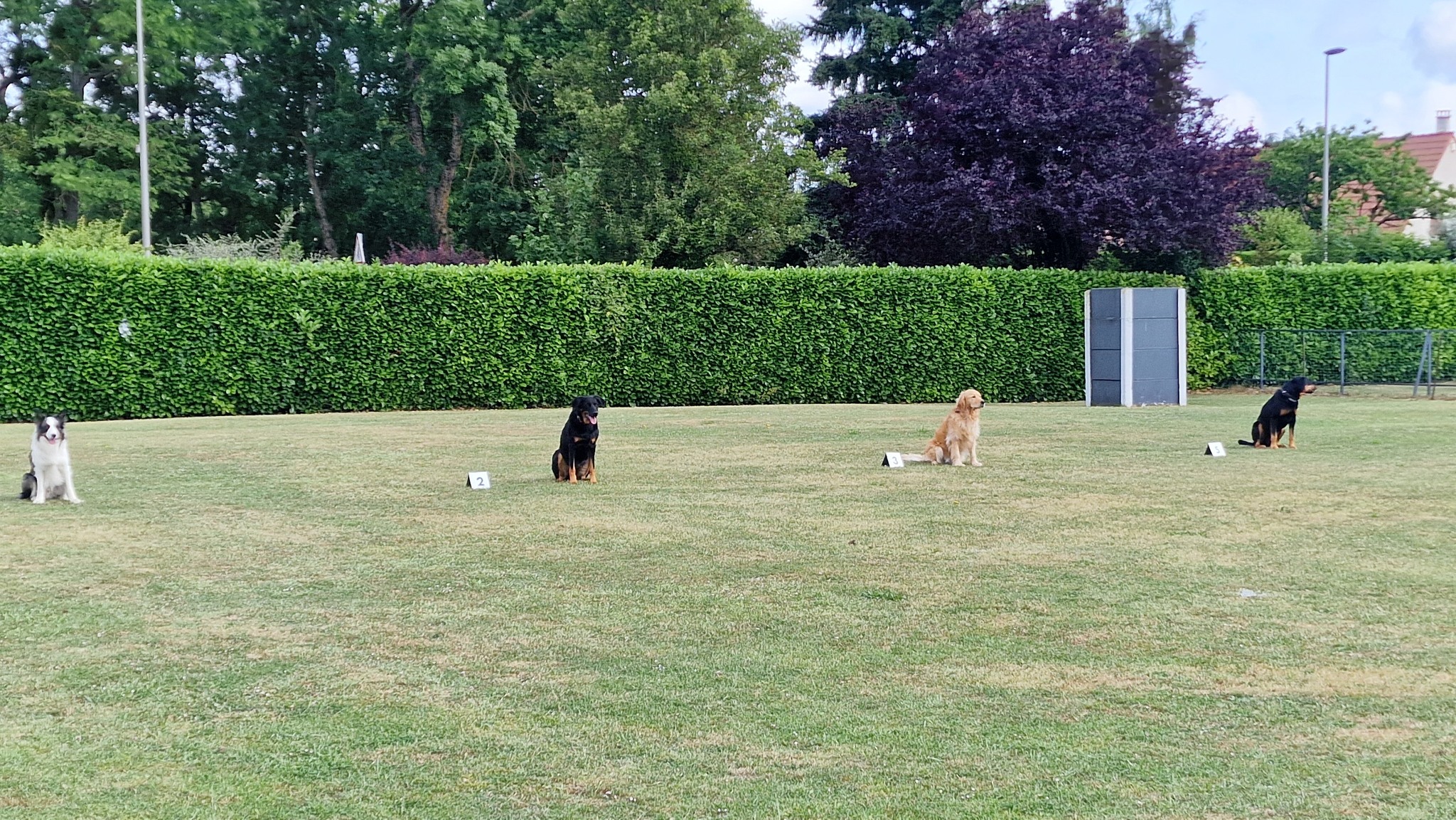 505440056_701483822844670_3985390585728116292_n