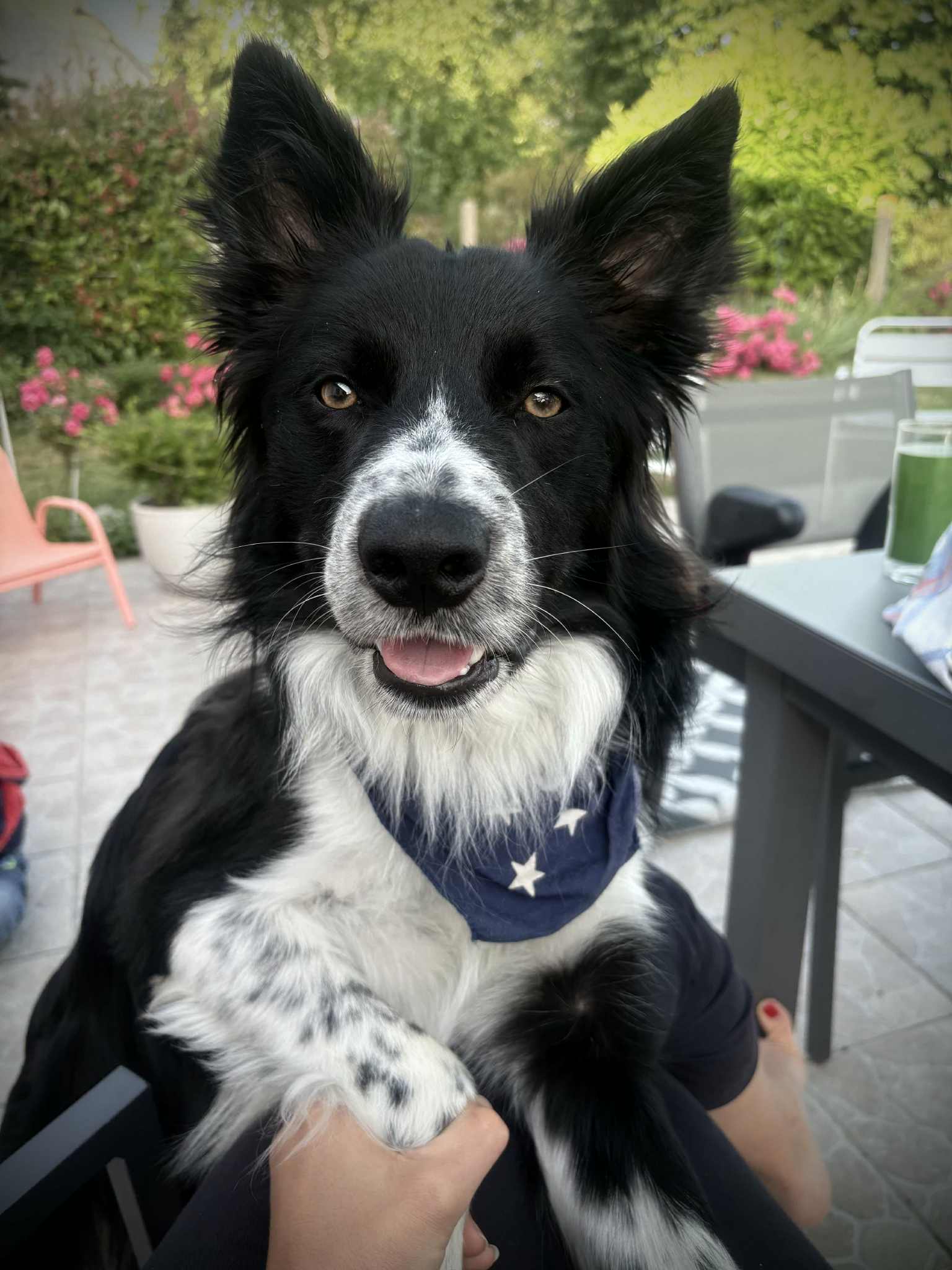 att.6kPaLUCgK4a3CAliu0RW5D-7ivctgIKlhgrZx4Ud-Ww att.6kPaLUCgK4a3CAliu0RW5D-7ivctgIKlhgrZx4Ud-Ww