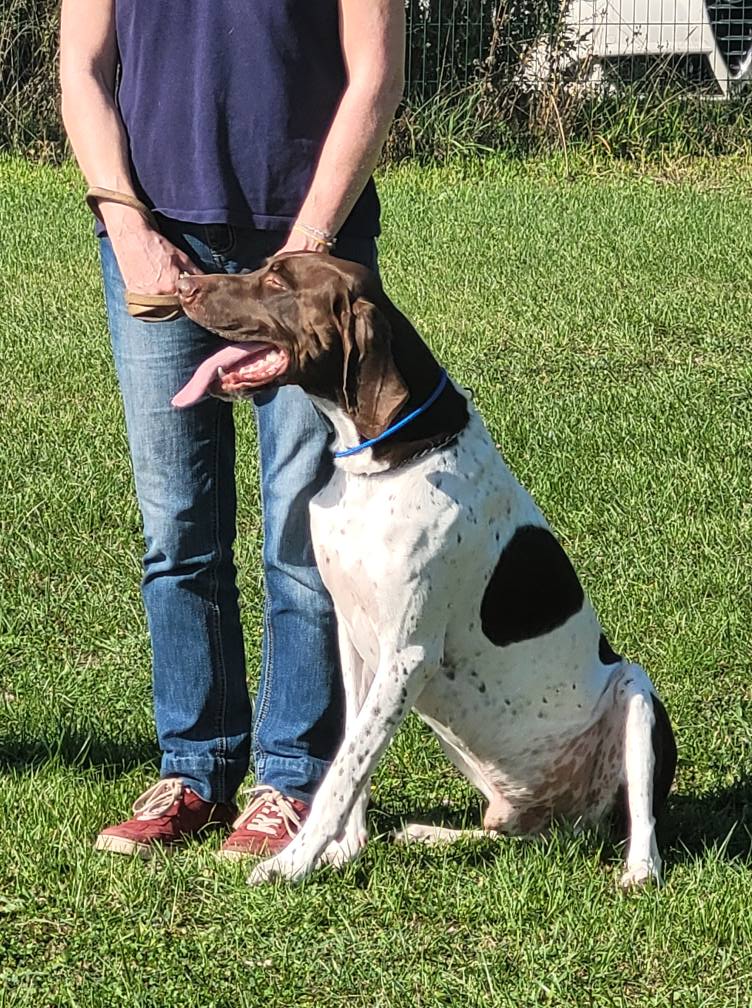 541652869_775552158771169_4807603845187953880_n