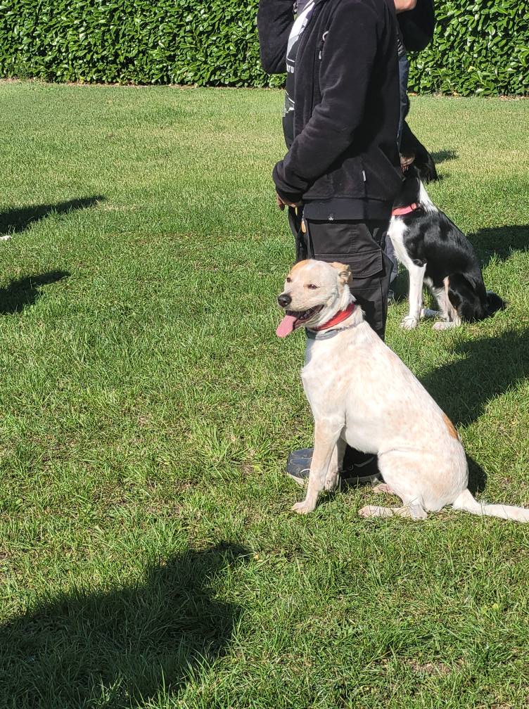 543115745_775552012104517_998166555810512839_n