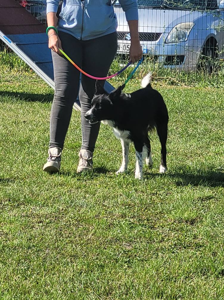 543180431_775552252104493_6599046867050812403_n