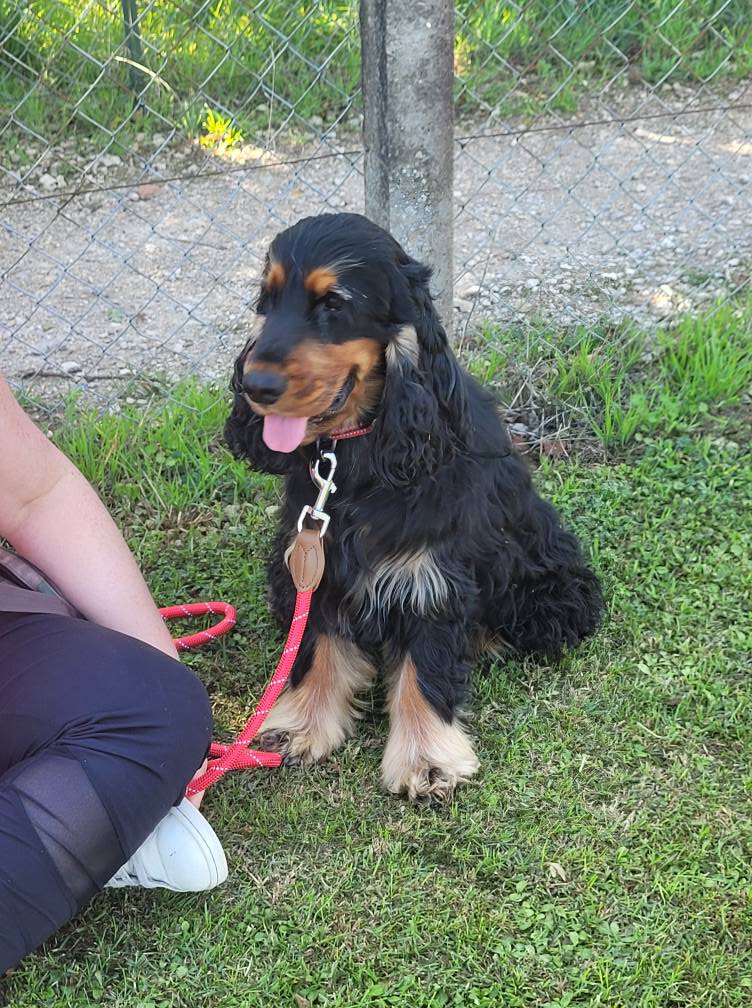 543357615_775551712104547_5368057730824129935_n