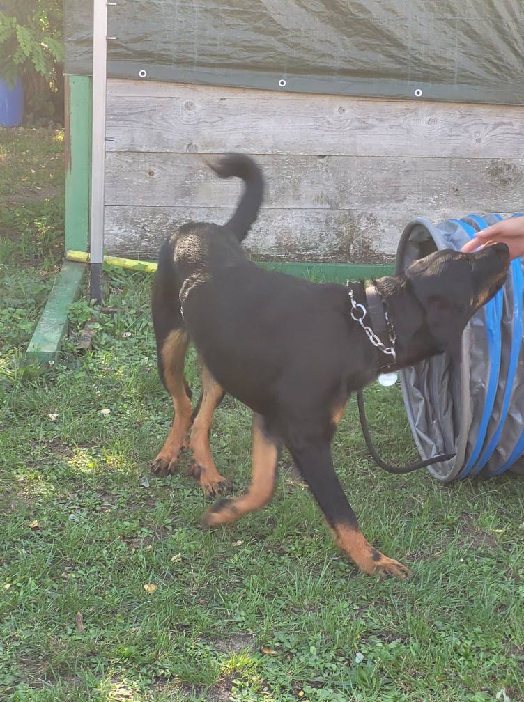 543392002_775552705437781_2719893666752854952_n