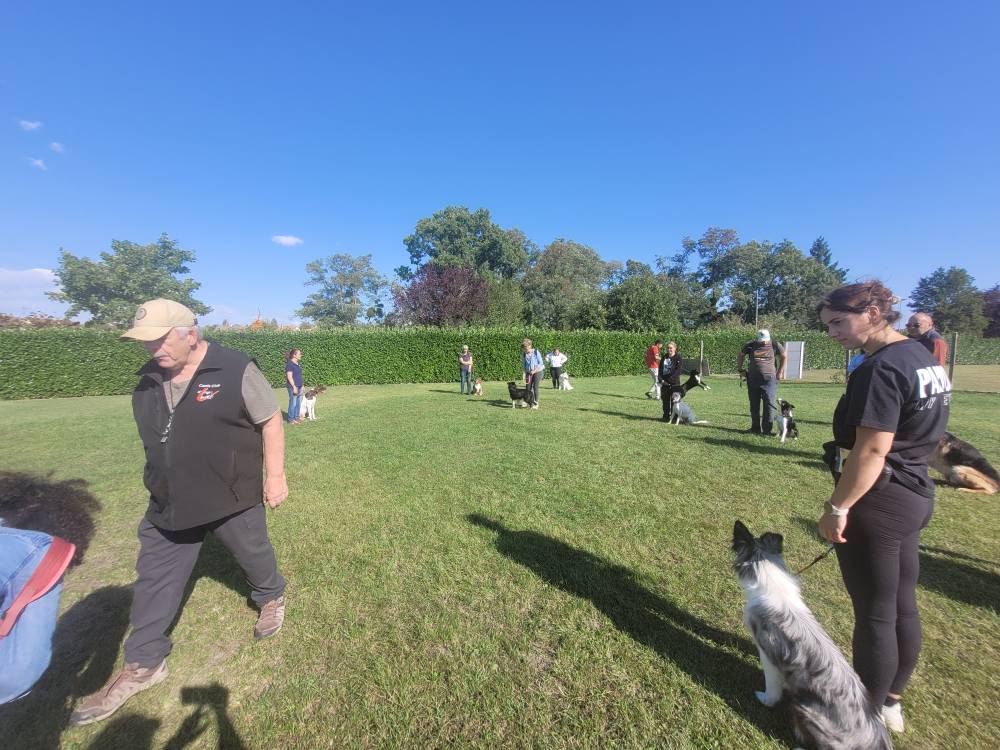 543419007_775552548771130_8243085740763730061_n