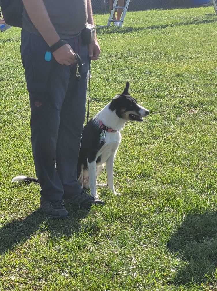 543574600_775552505437801_8652561682230123788_n