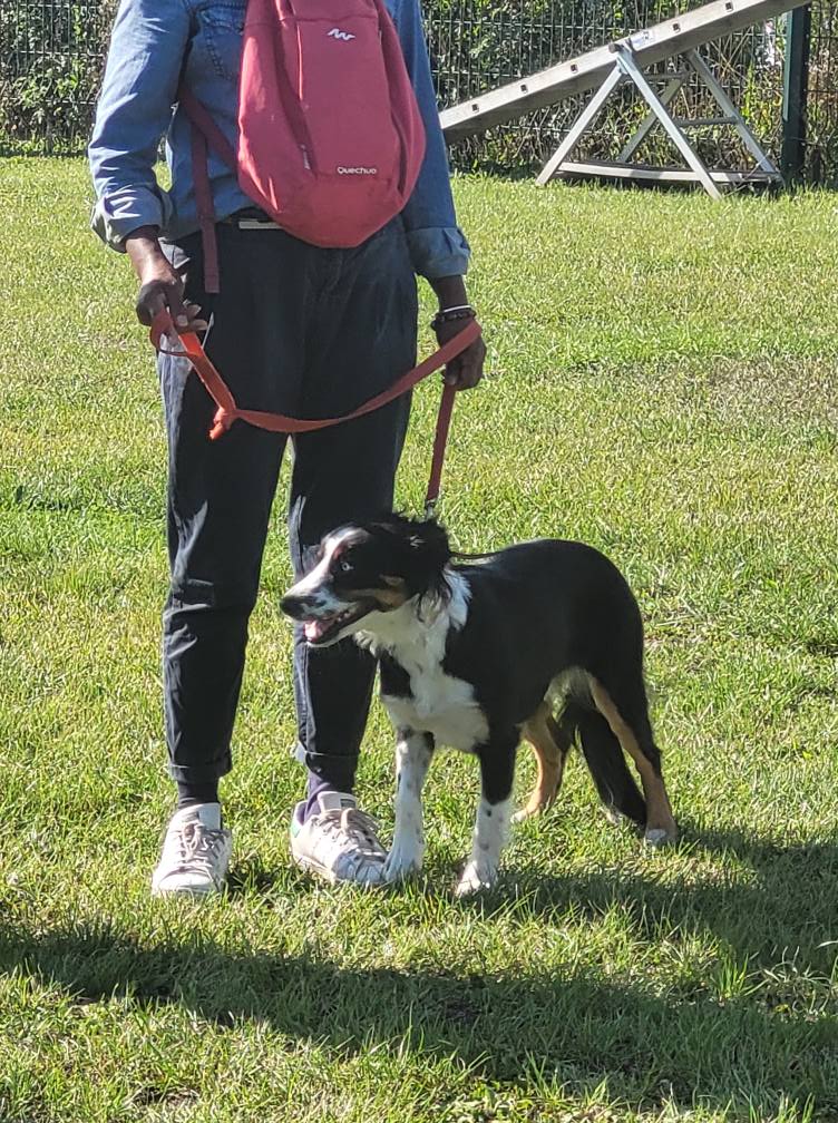 544132462_775552425437809_3392013469580664794_n