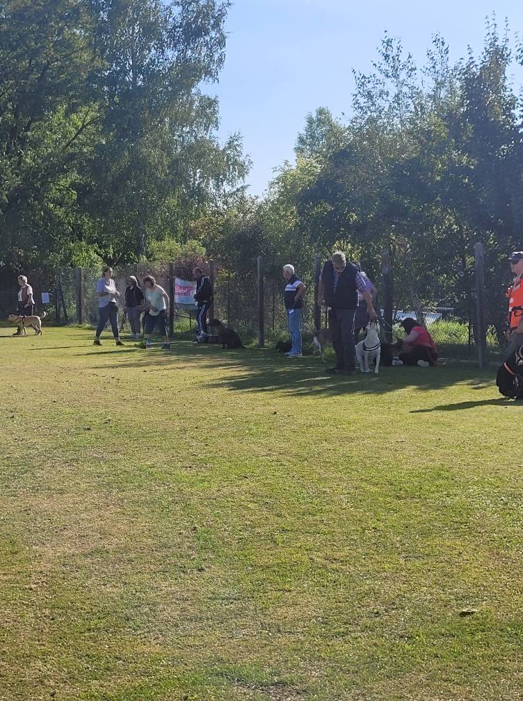 544591235_775551865437865_4243986951126262674_n