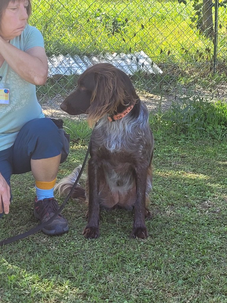 544726758_775554292104289_7519113937189075465_n