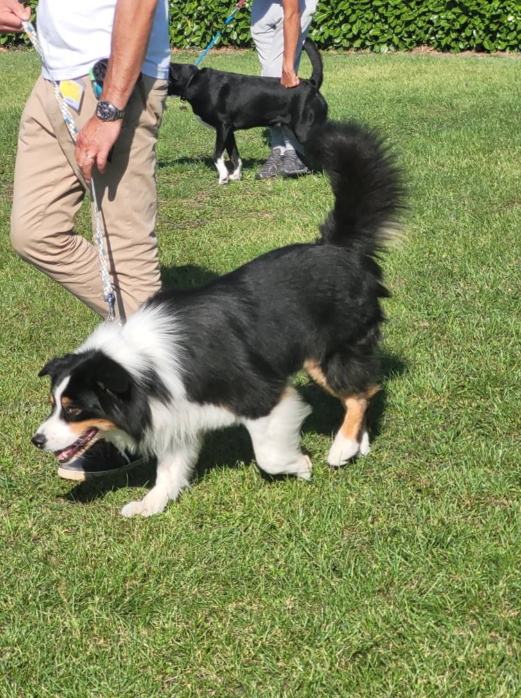 544750639_775551958771189_745065368290424051_n