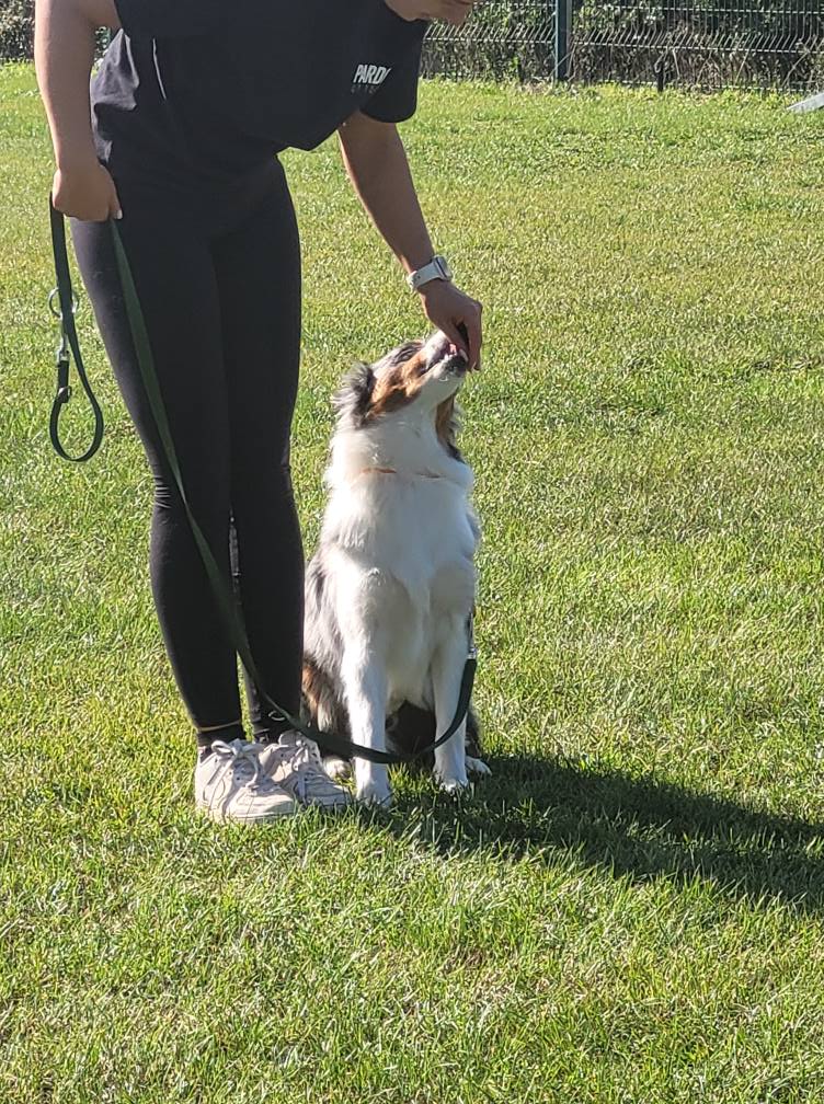 544756222_775552382104480_5446447510851388899_n