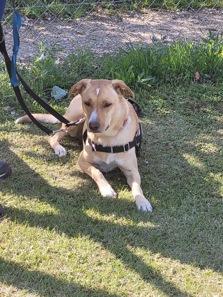 544791653_775553948770990_2743616939097870965_n