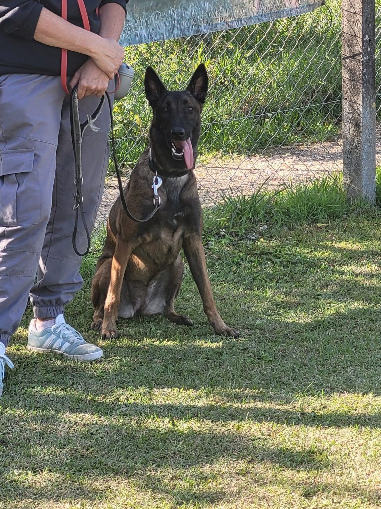 544824158_775553995437652_2052646613569799706_n