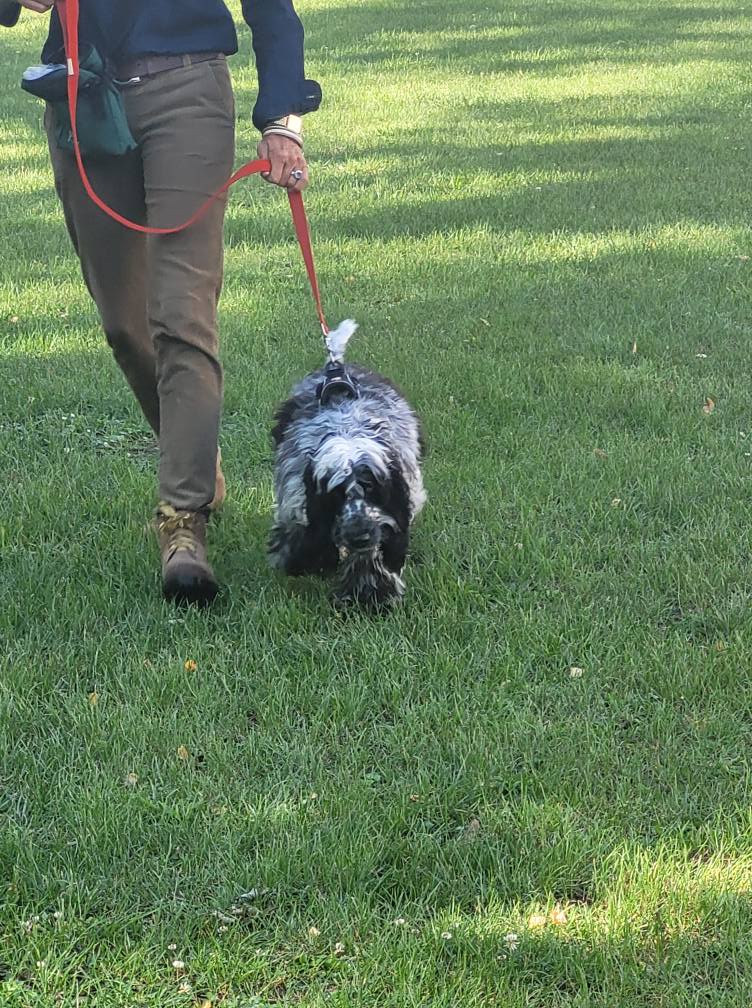 544981246_775552872104431_7547601032685247111_n