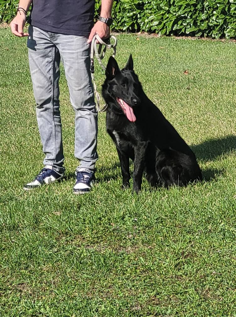 544987898_775552115437840_4530033462324988906_n