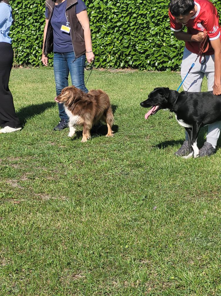 545013438_775552078771177_3720605061733458156_n