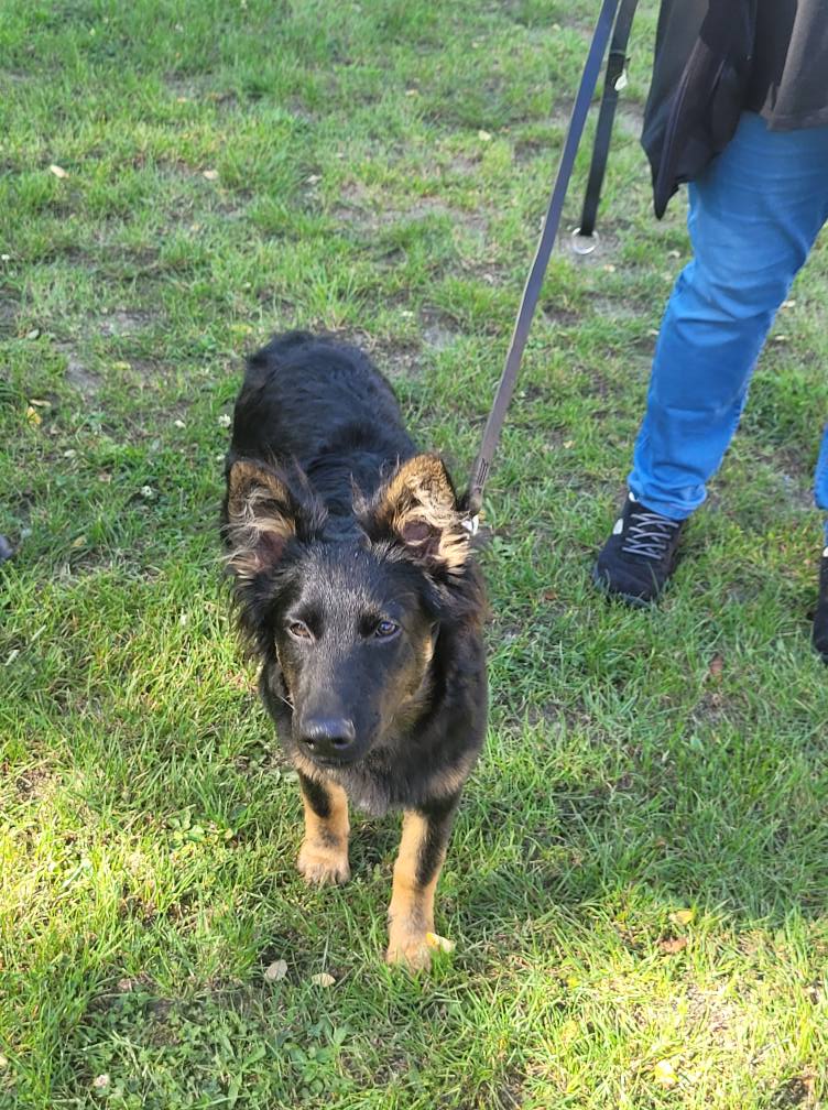 545071942_775552762104442_2199512030927537117_n