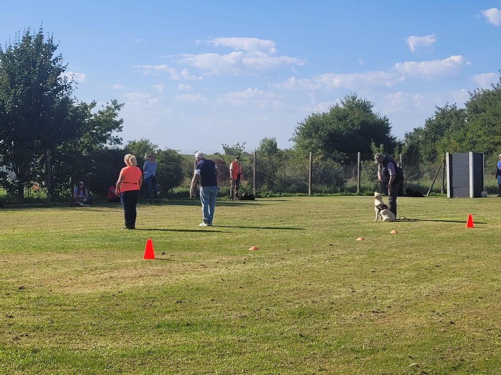 545073763_775553805437671_3207463610407886681_n