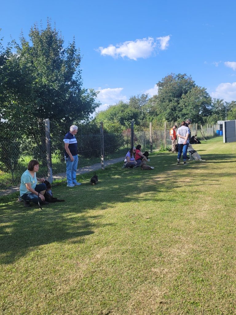 545180196_775554185437633_6447368180773844861_n