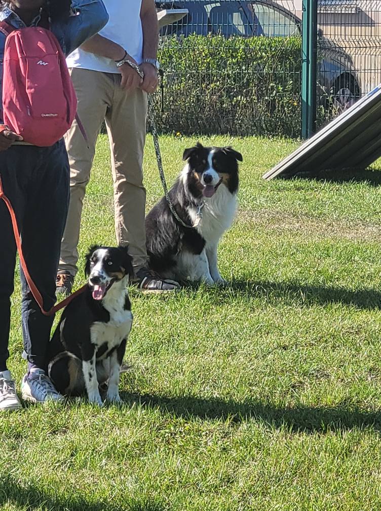 545201064_775552292104489_1515804688256953579_n