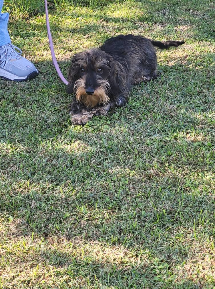 545259573_775551612104557_6689623575971278092_n