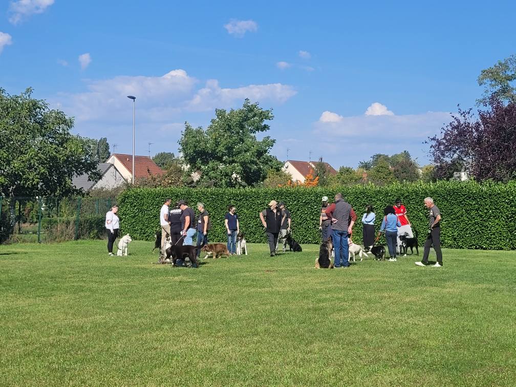 545372882_775551915437860_6142940321918932968_n