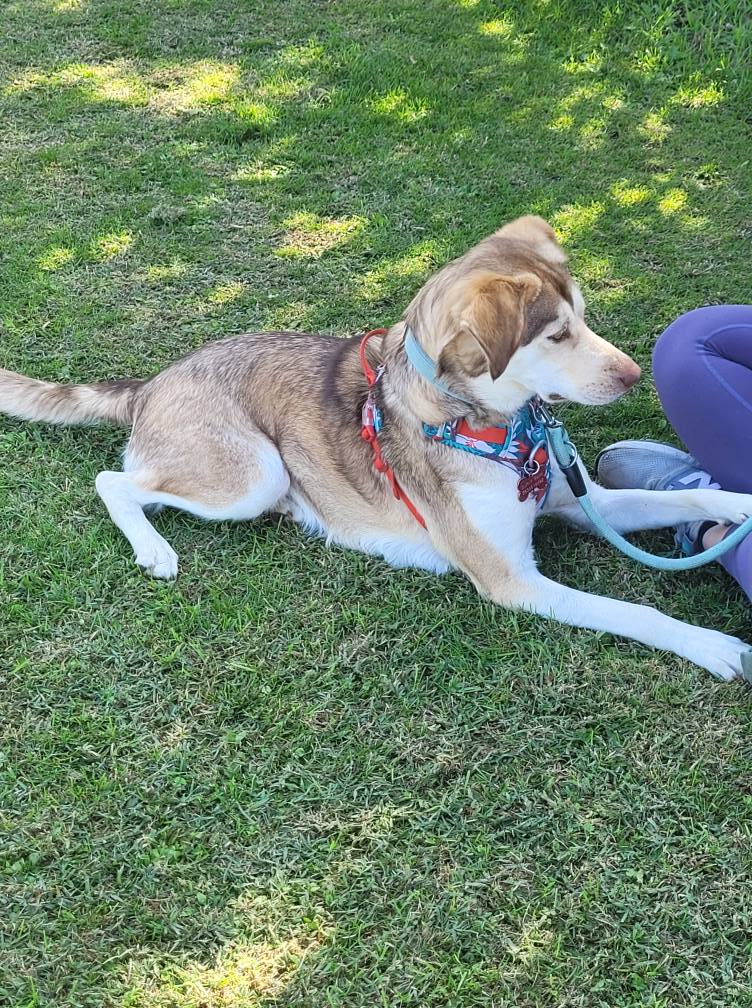 545406575_775551662104552_3175690177164887710_n