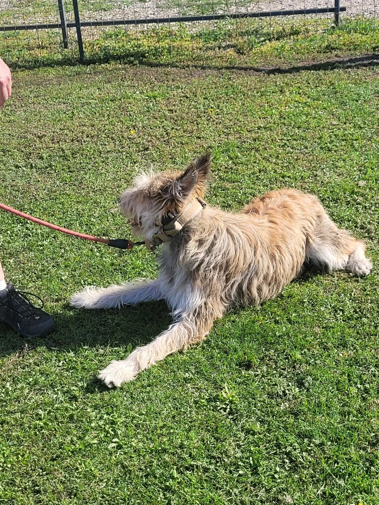 545509980_775553598771025_798849620590226801_n