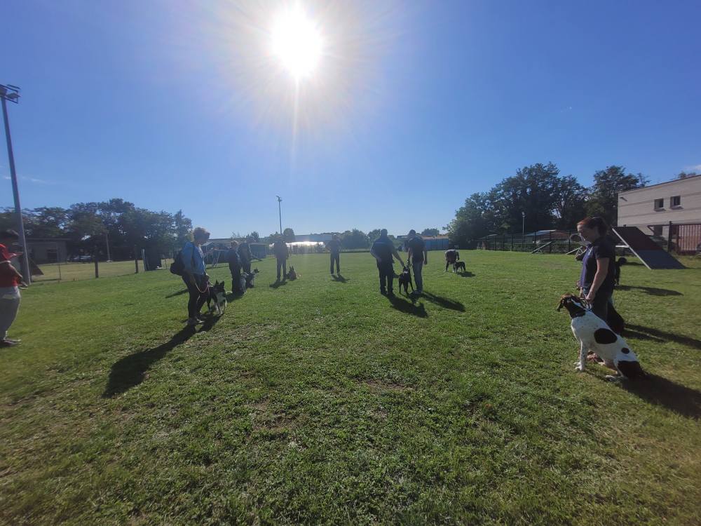 545527117_775552478771137_3403508193521421395_n