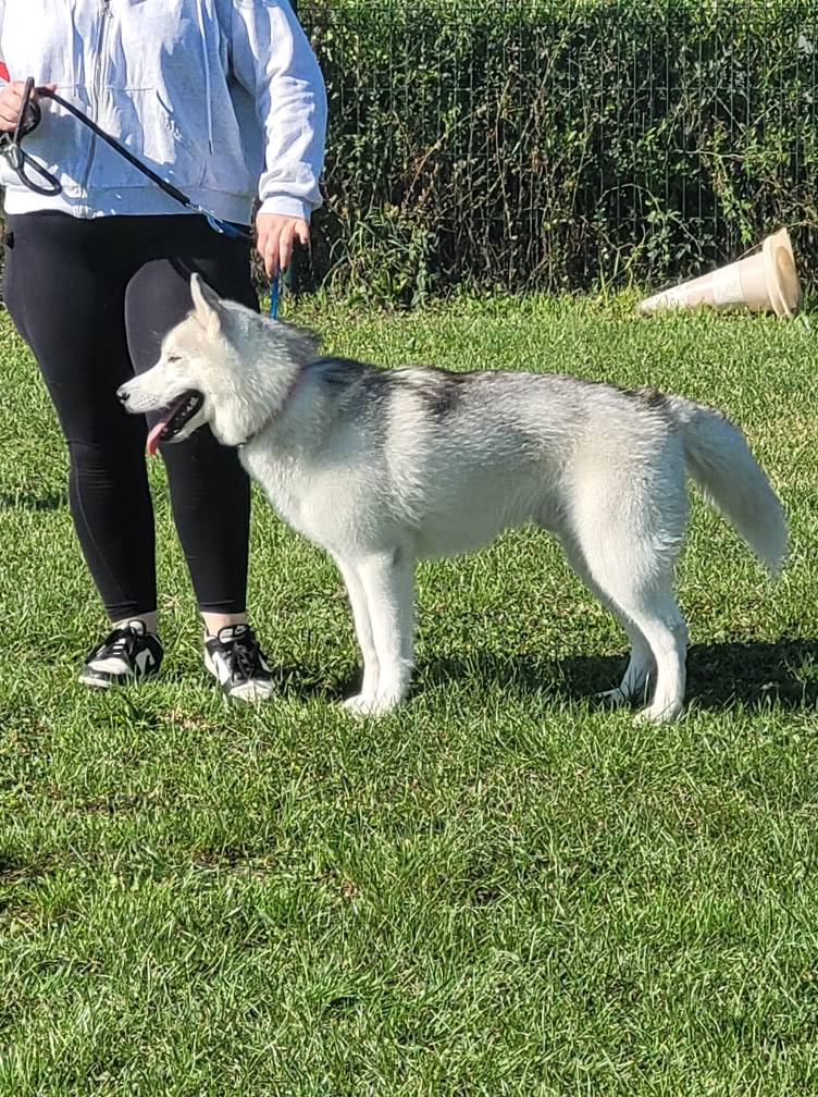 545568825_775552208771164_8259474533221418788_n