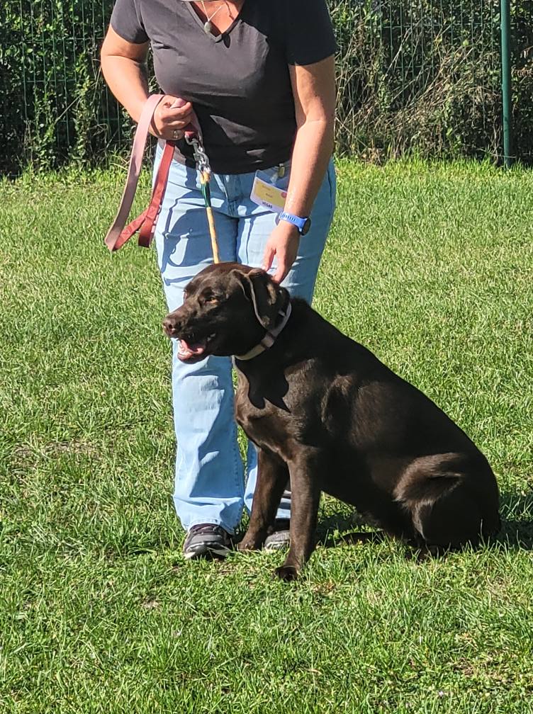 545602148_775552348771150_4098886641283225924_n