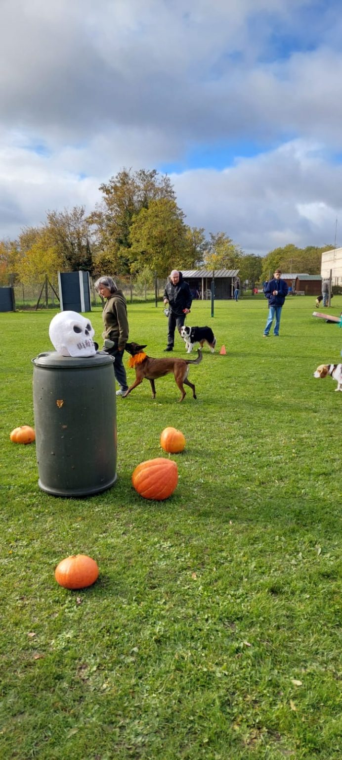 0625a8b1-2571-46b9-a0dd-ecce09ca3b60