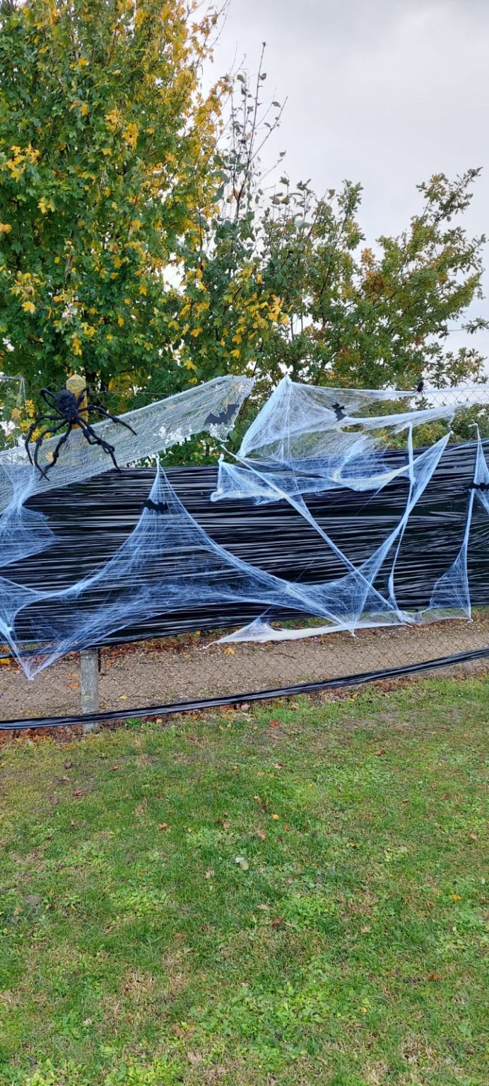 0653e912-c969-44e2-8b5b-4350c02c4fe0