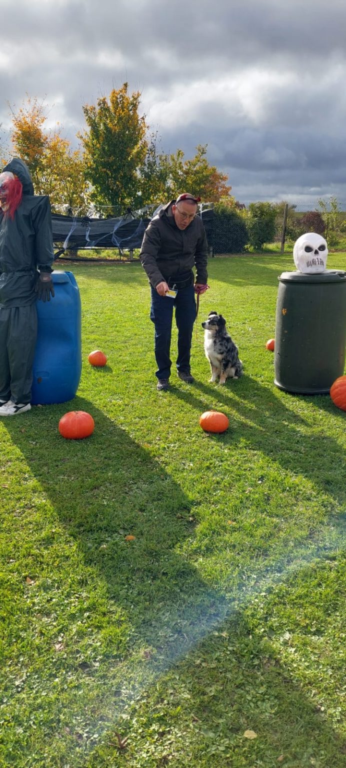 143d38ac-2526-4f41-bd1c-67a71a401c75