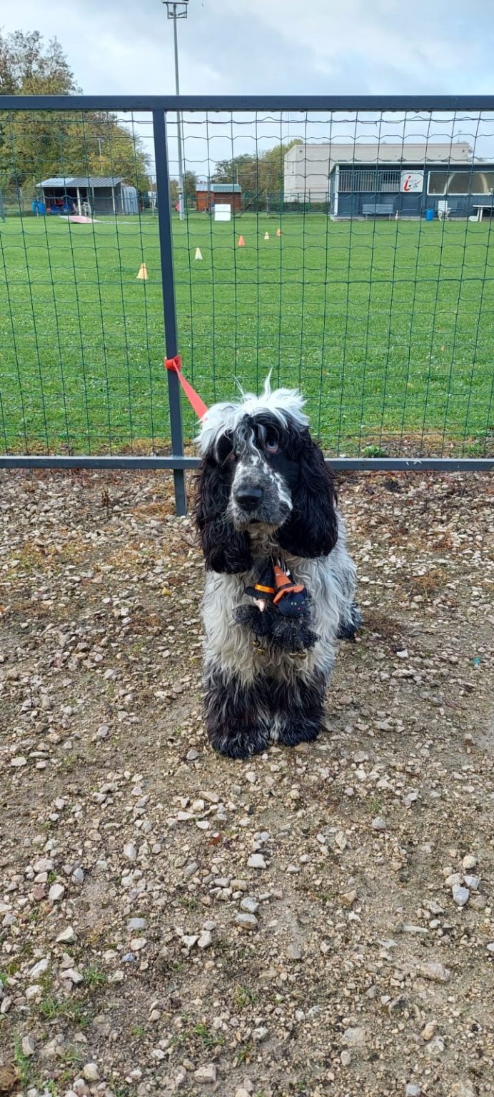 14919f2a-14f9-4d32-8bab-c5bdc93ae4ab