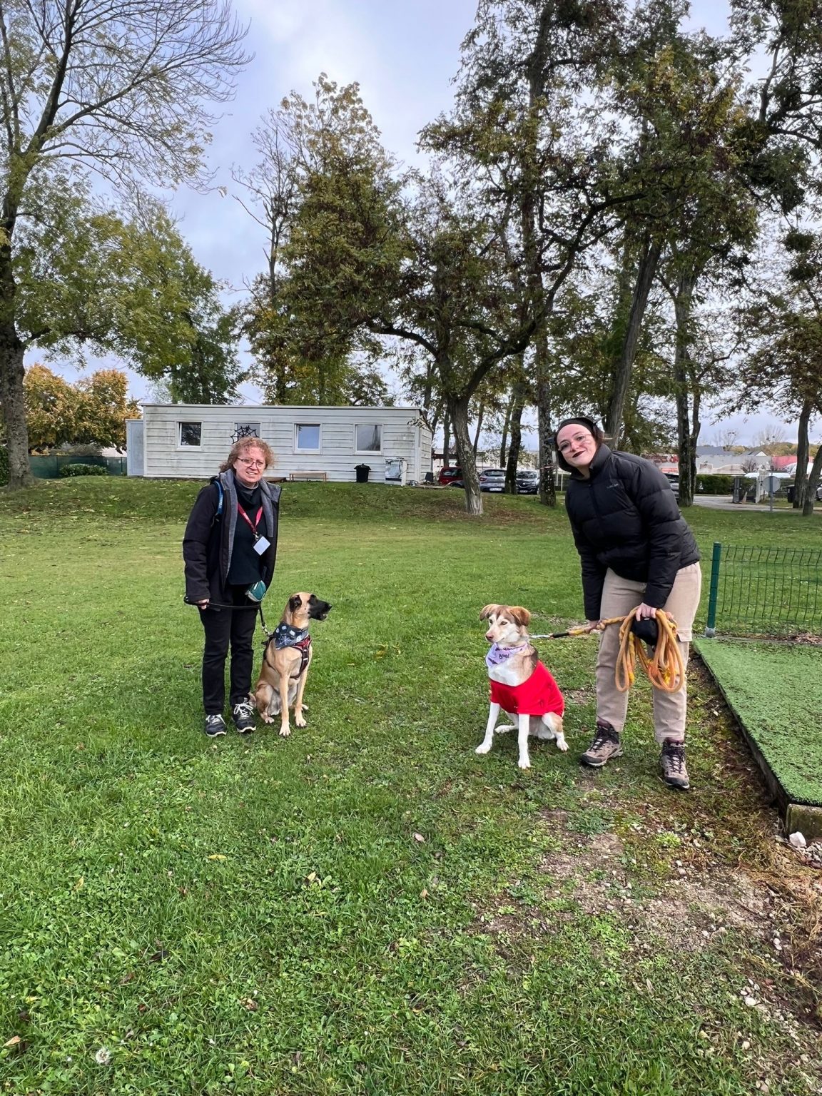 159c8b28-4d64-4a7f-8753-89370ebf8429