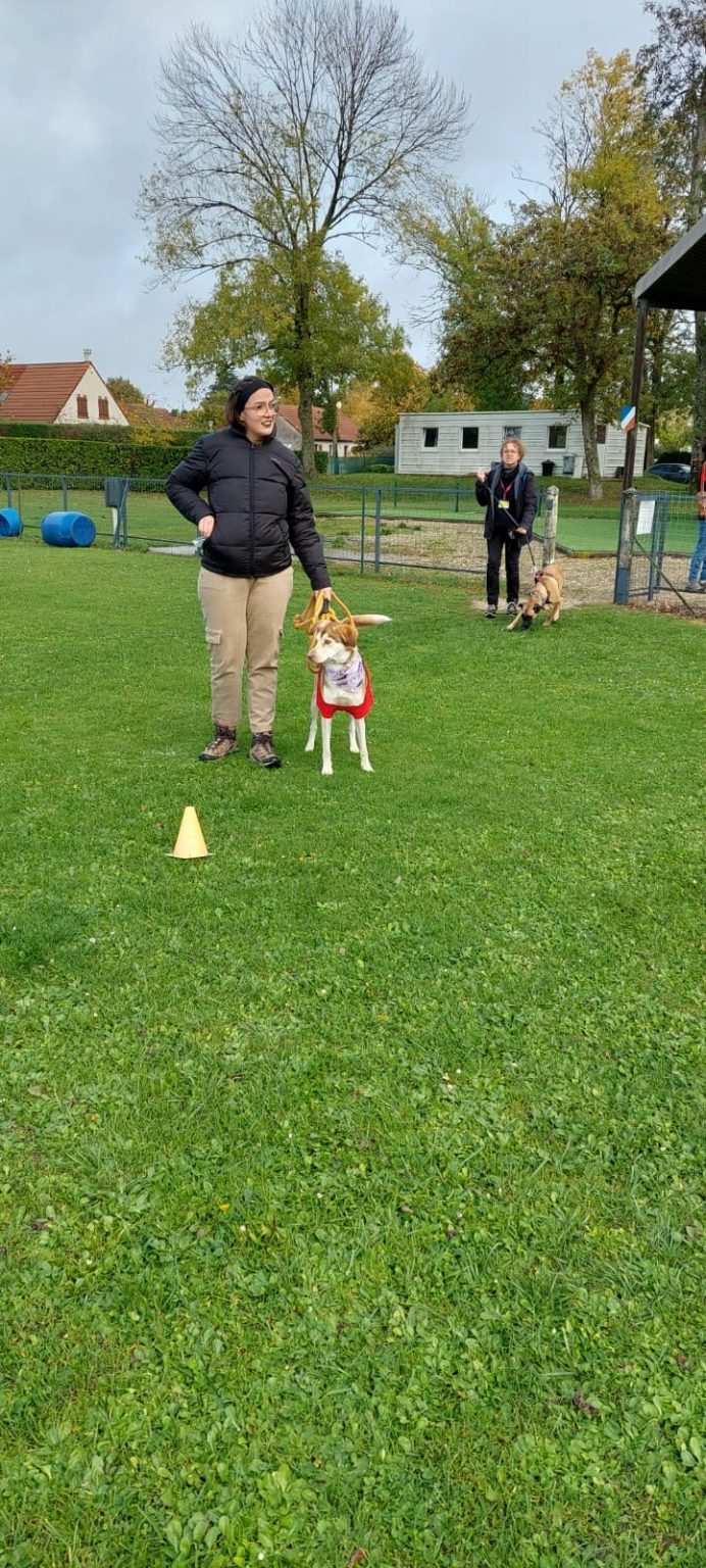 175fcce9-672c-4150-946c-8857ccb2ff5c