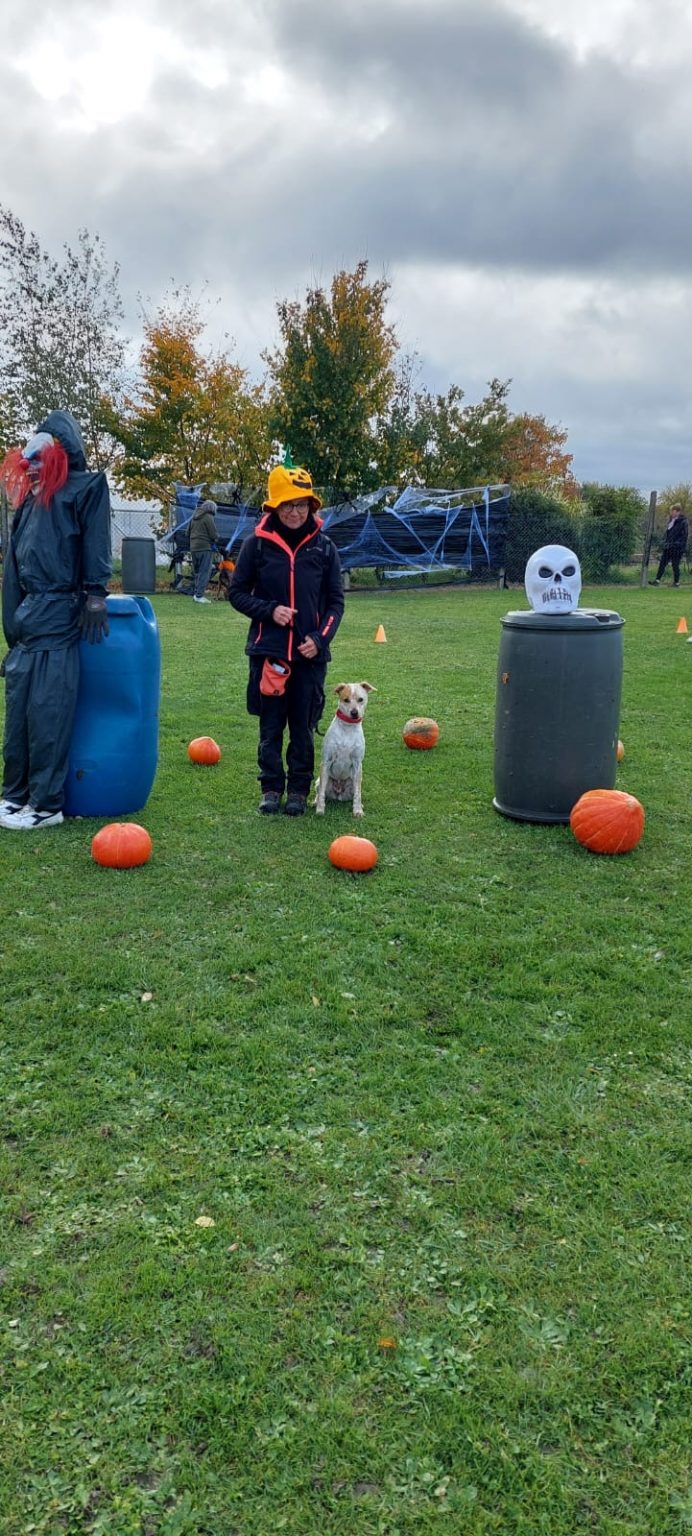 194267e2-9db6-4219-a1cf-0dc87369233e