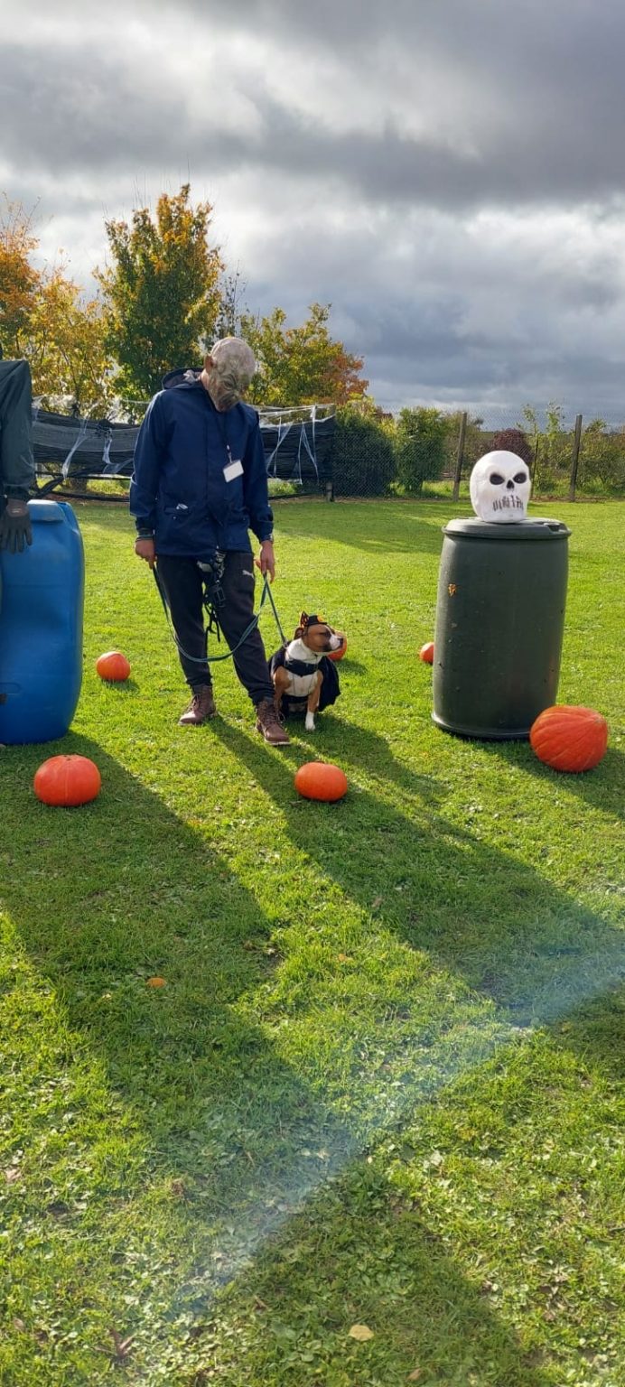 242abb28-7f49-4580-9dfe-45b0925923f6