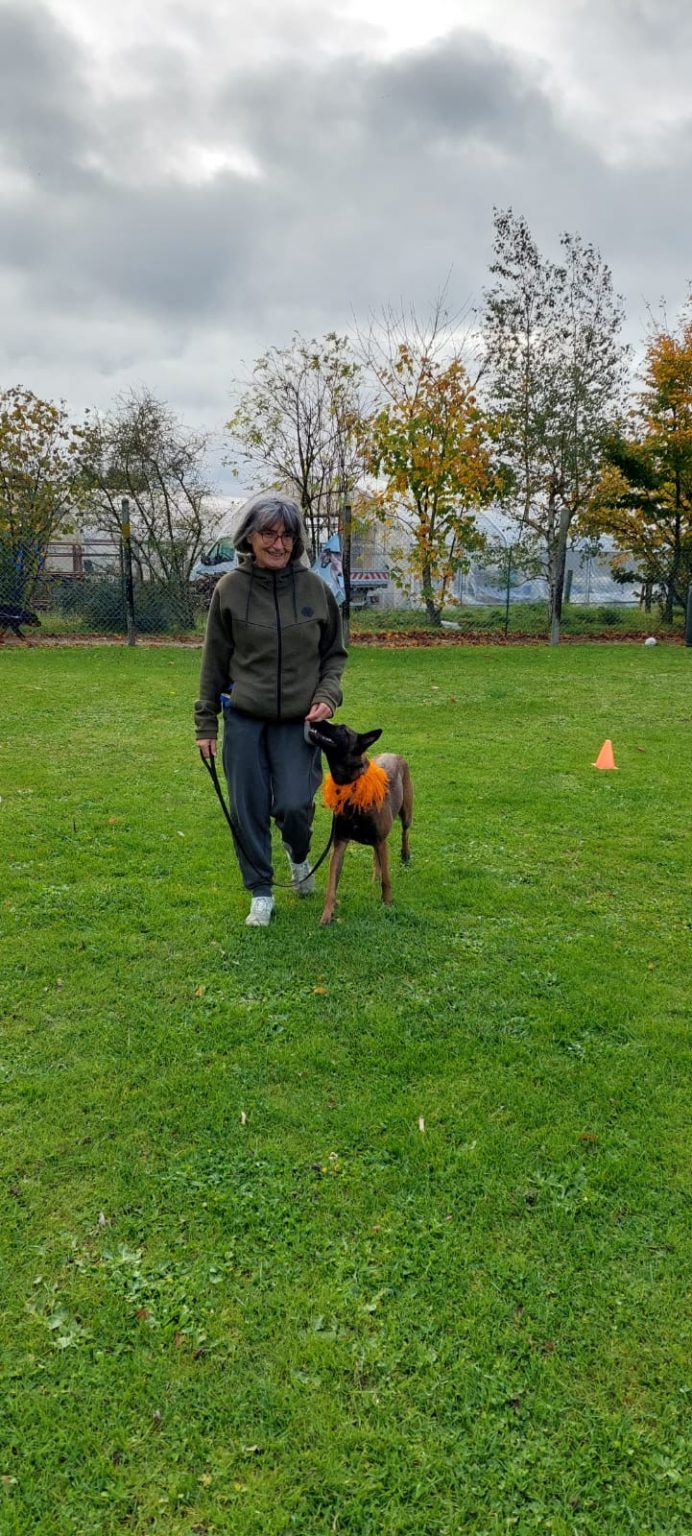 244b0ebd-37eb-45e7-8b7b-01b29ca56298