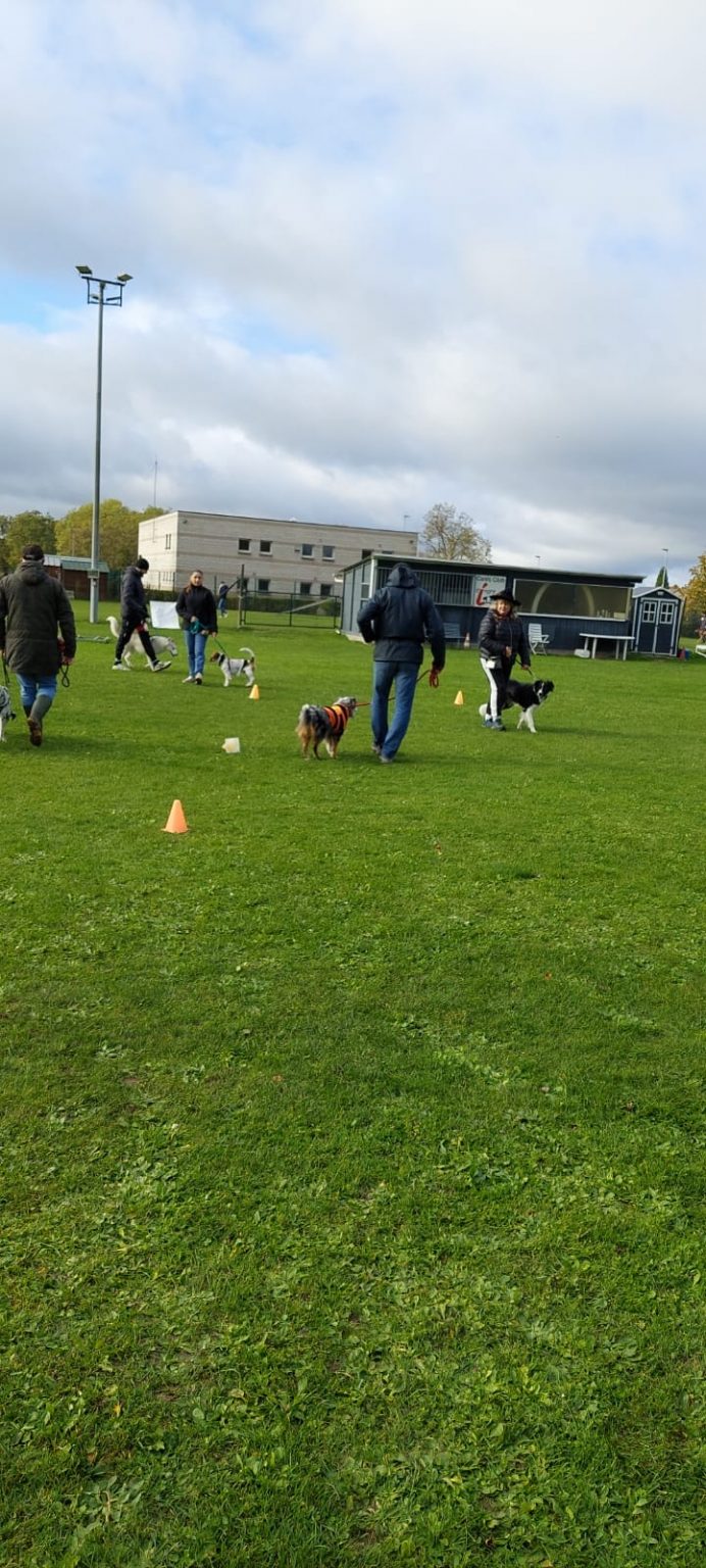 442e4650-e725-49a1-8030-6756d26d0a89