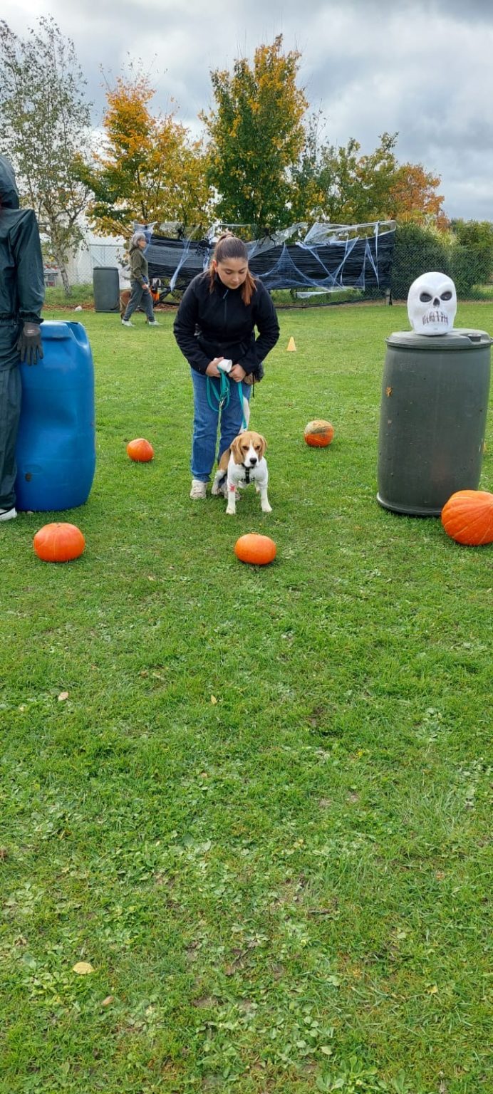 573c6321-7b6c-4622-bedc-15e065e5c5ff