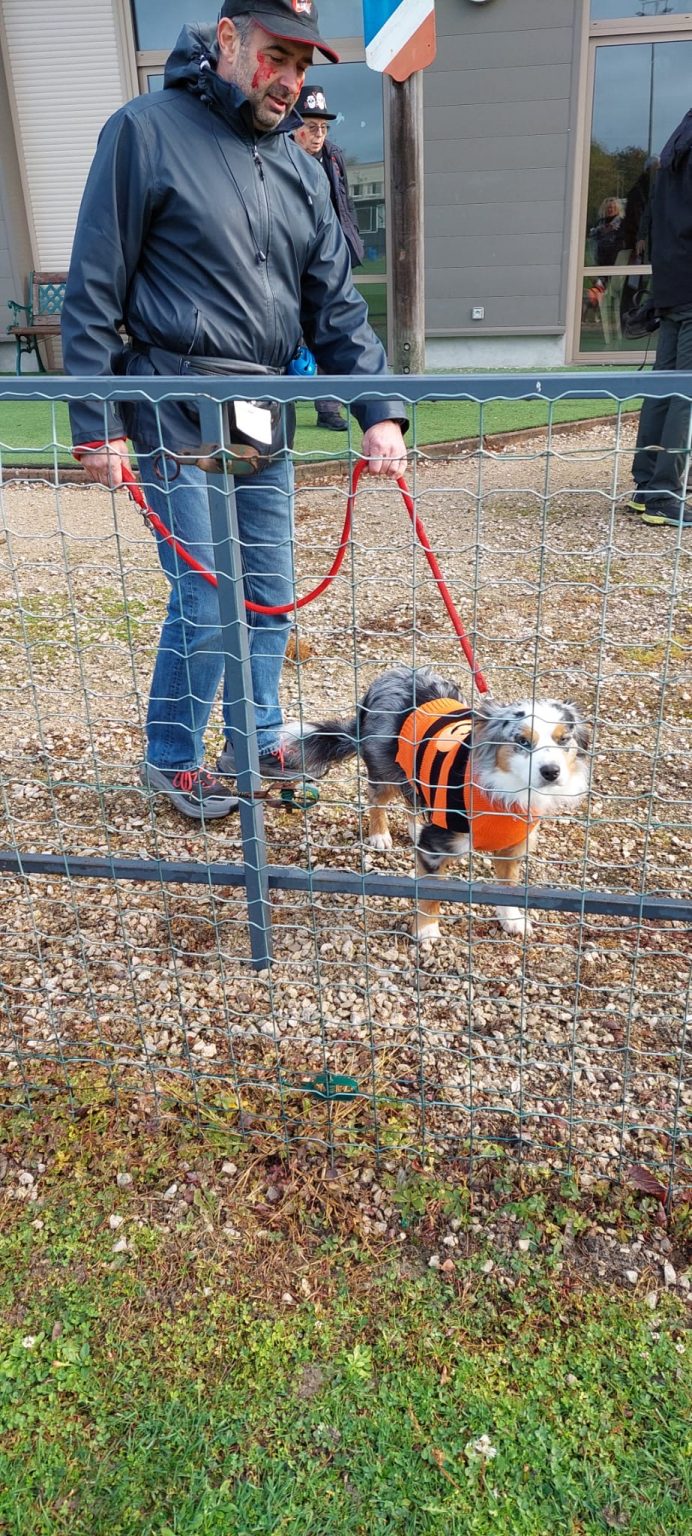 612cf3be-7e39-4664-a8eb-6f58a04e7b71