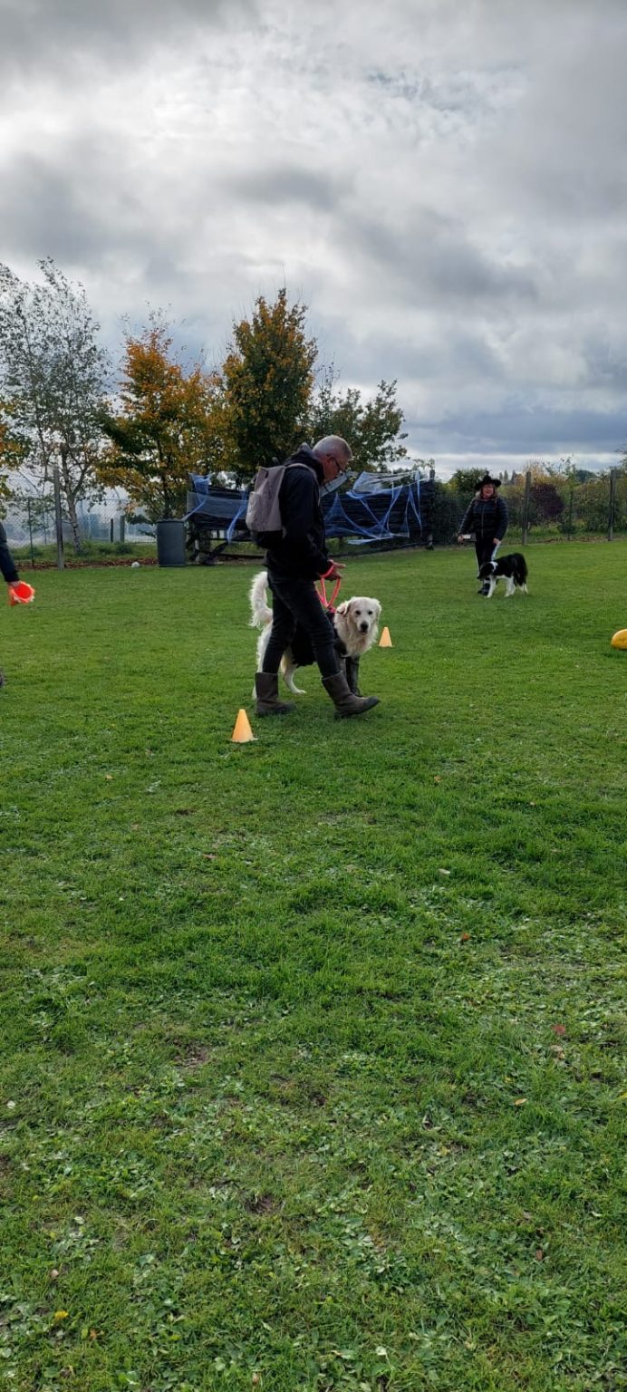 623b6fa4-a53e-43cf-8f37-efc32658dbd8