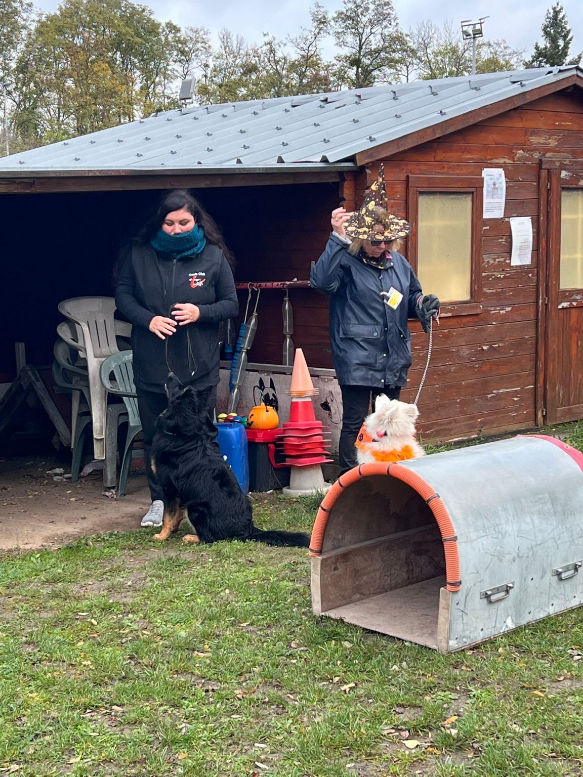 6a79cf73-2940-40fd-80fe-575d5d61aa30