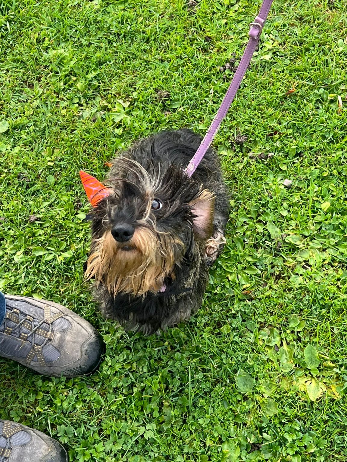 7d0085b1-84e4-4fe7-9b72-86aea4792da9